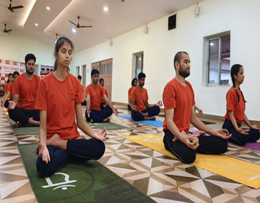 DYTT (Diploma in Yoga Teacher Training)